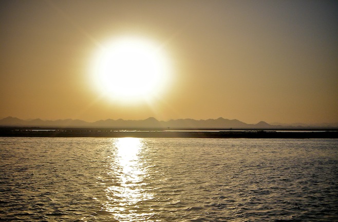Up With The Sun