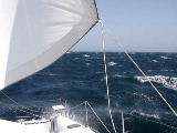 red sea