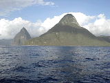 St Lucia Dolphins