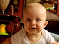 Ouest 7 months