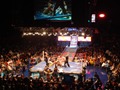 Lucha Libre
