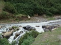 Peru River Crossing