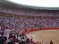 Running of Bulls