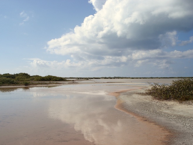 Anegada Salt Pond