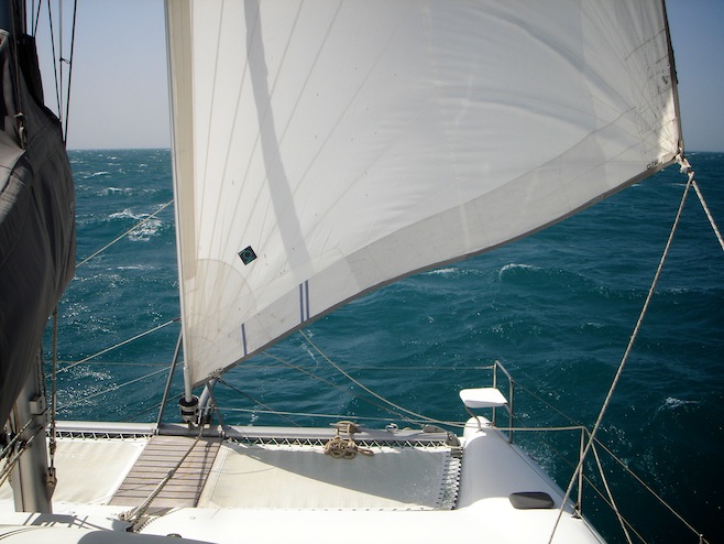 Red Sea Down Wind Sail