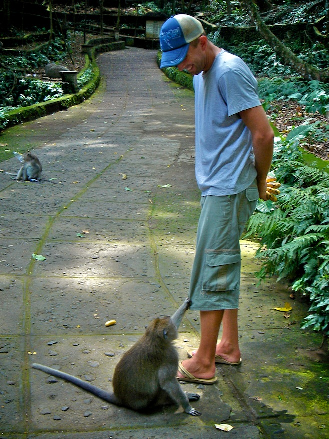Indo Monkey Forest