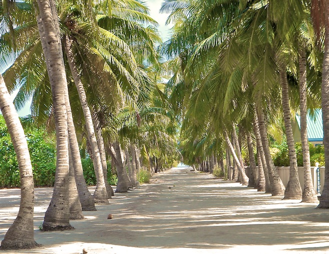 Maldives Island Street