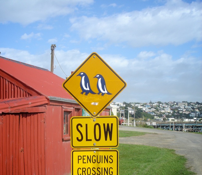 Penguin Crossing Sign