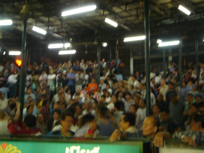 Thai Boxing Crowd
