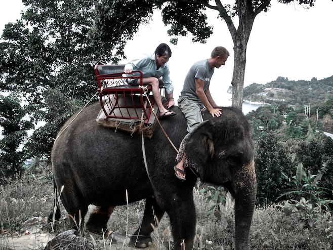 Elephant Ride2