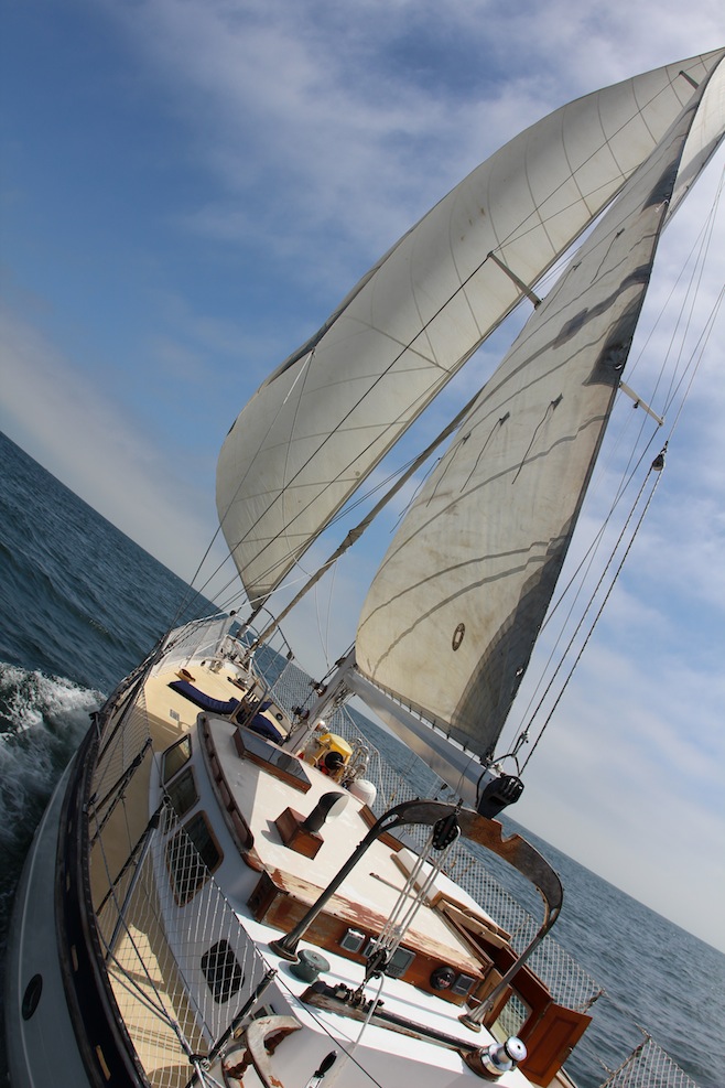 Sailing Baja