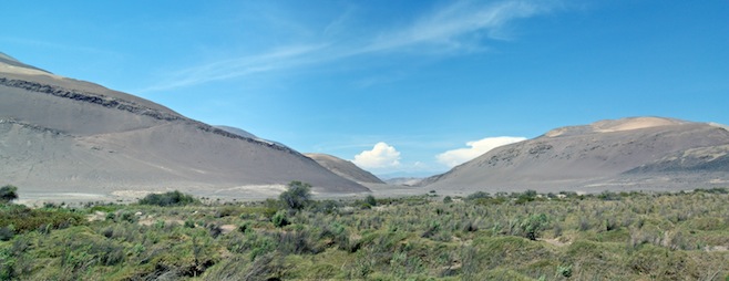 CL Desert Landscape