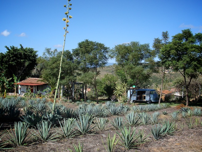 MX Oaxaca Camp