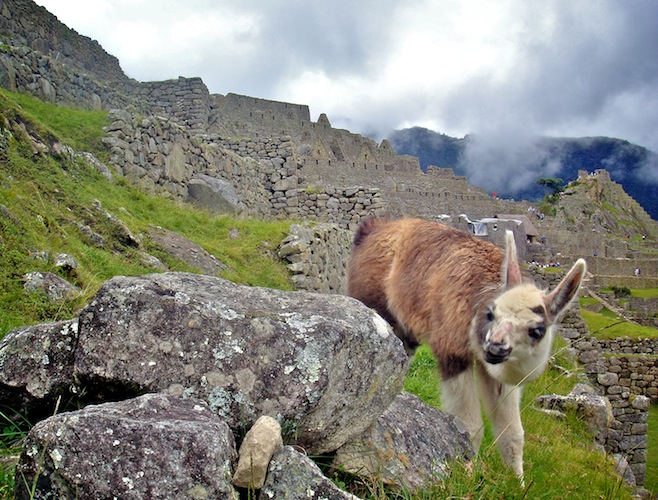 PE Machu Picchu