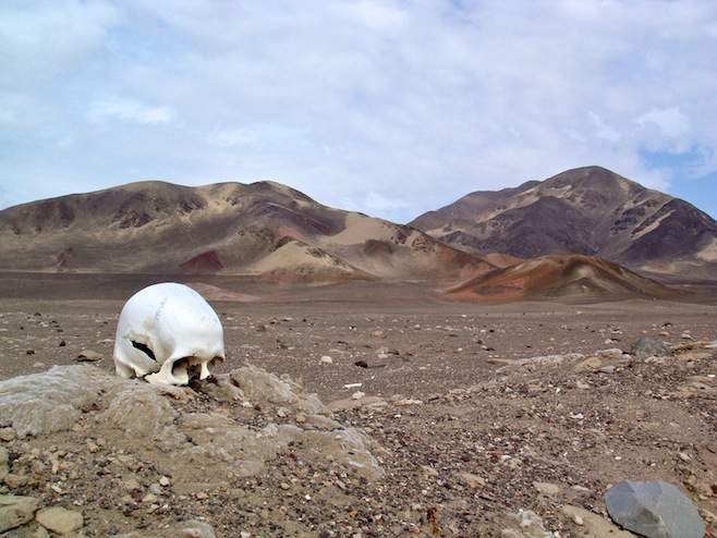 PE Nazca Bones