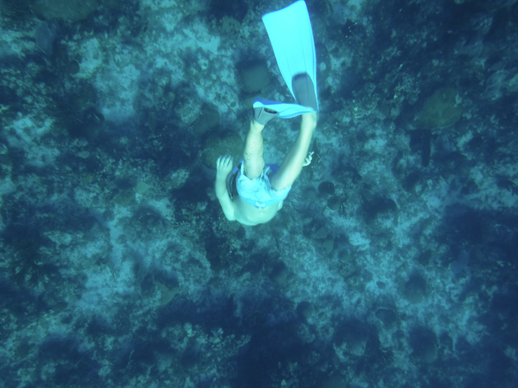 L Snorkeling Little Cayman