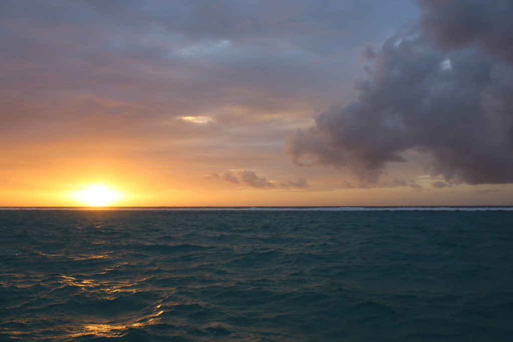 Reef Sunset