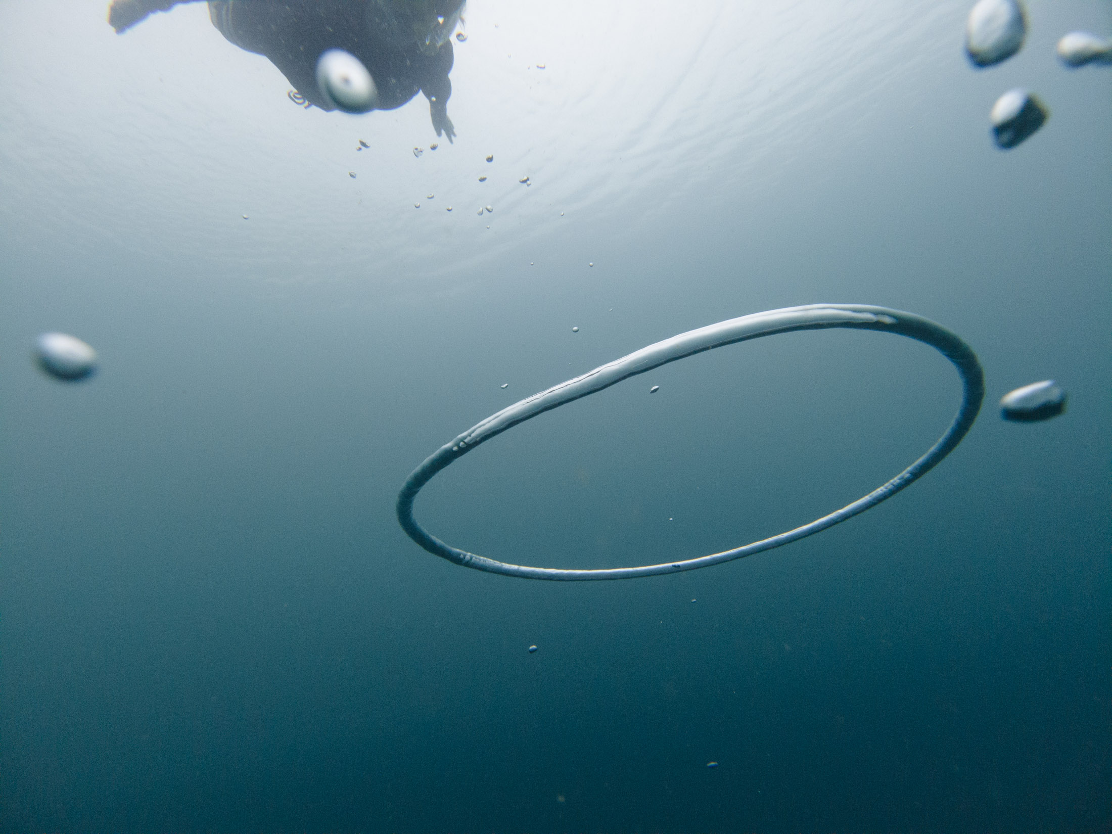 Bubble Rings Bumfuzzle